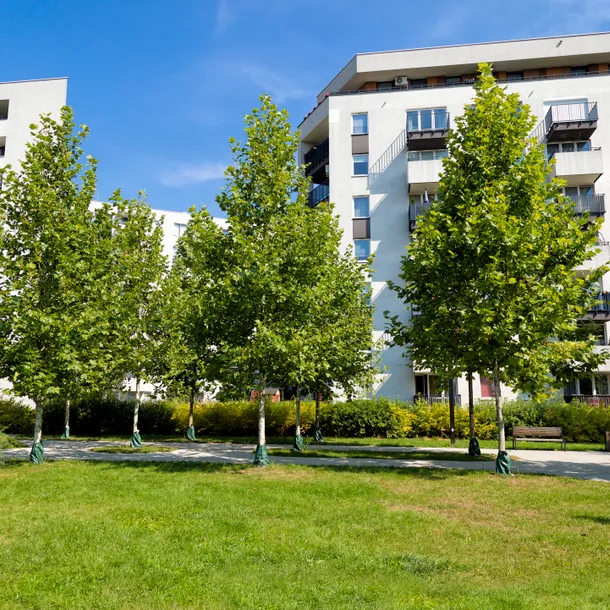 wohnungen bäume